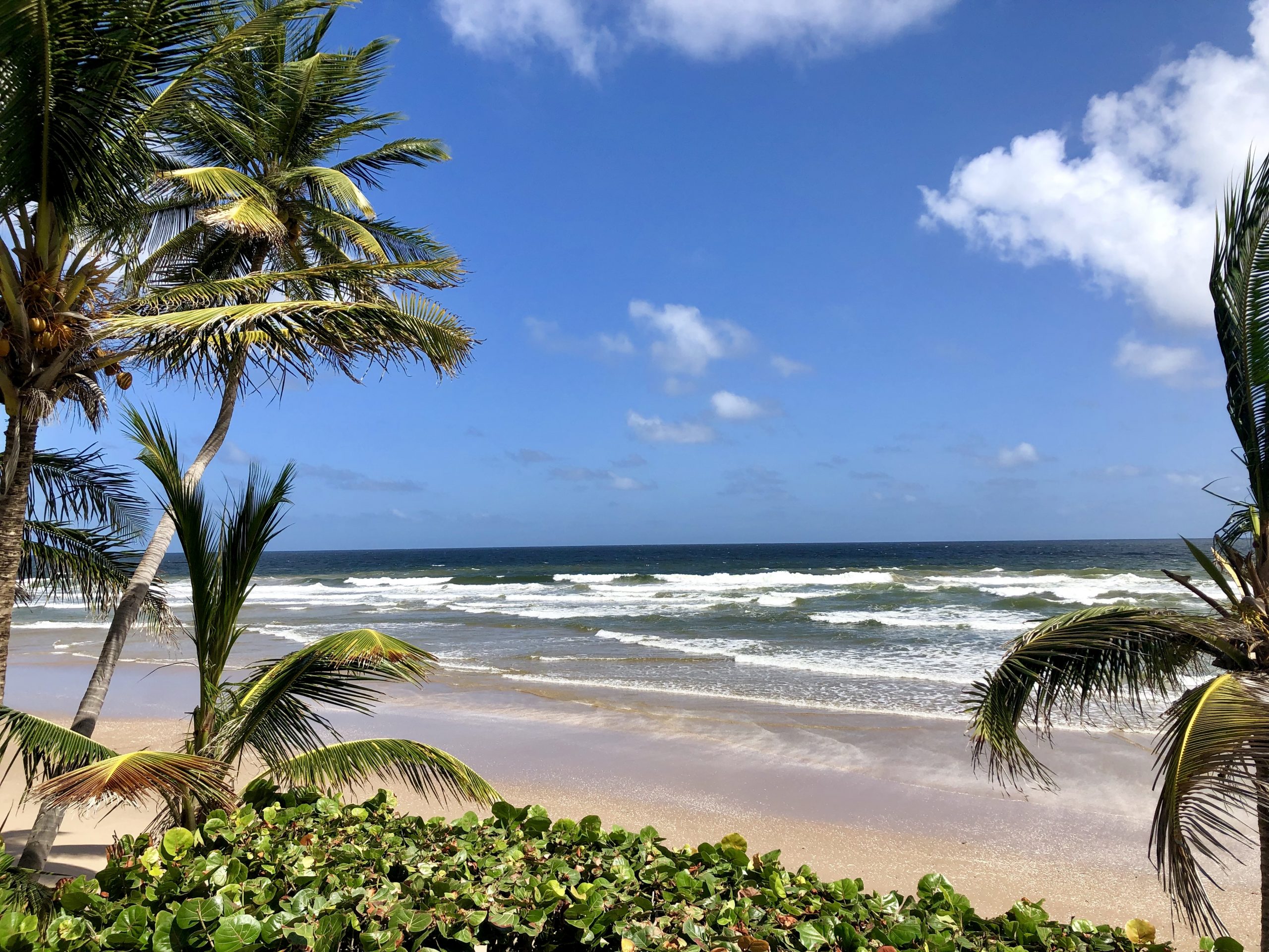 Frontin Road, Mayaro > Trinidad and Tobago Real Estate