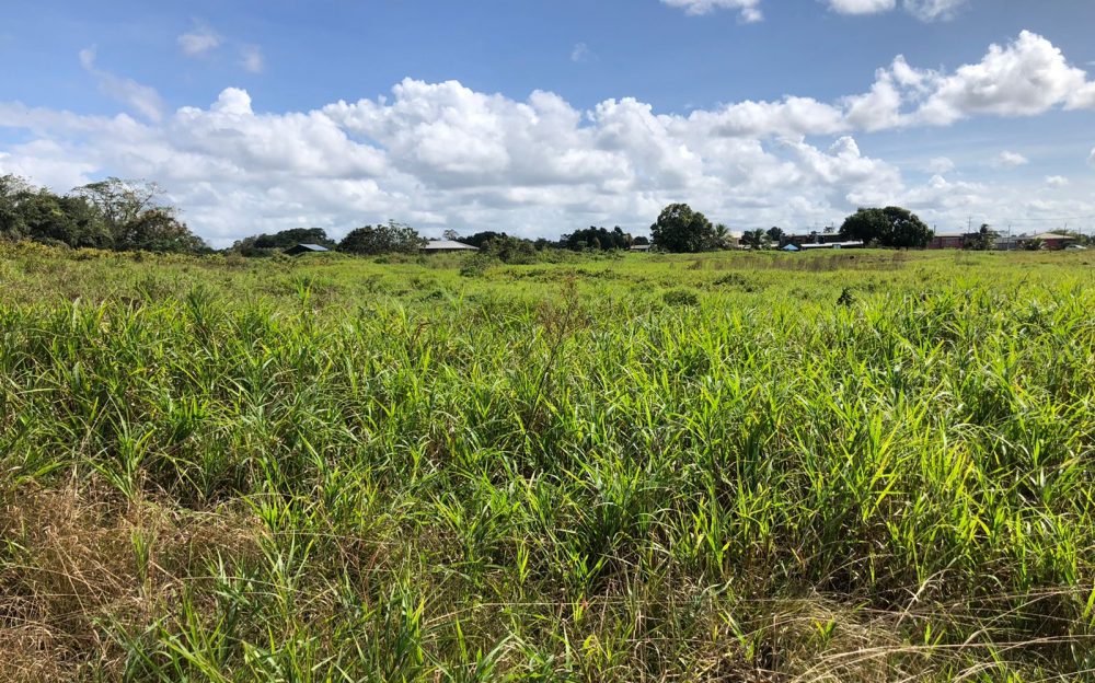 Caparo, Chaguanas Land for Sale > Trinidad and Tobago