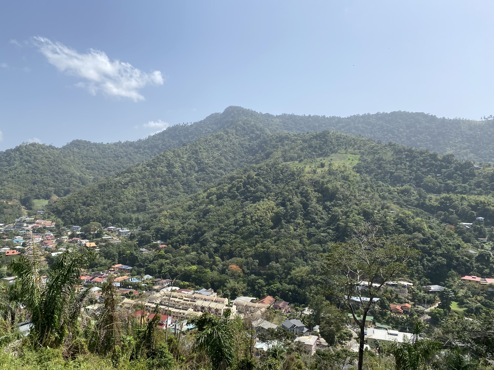 Maracas Gardens, St. Joseph > Trinidad and Tobago Real