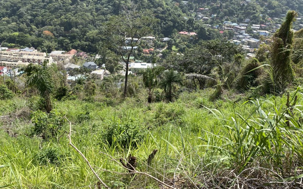 Maracas Gardens, St. Joseph > Trinidad and Tobago Real