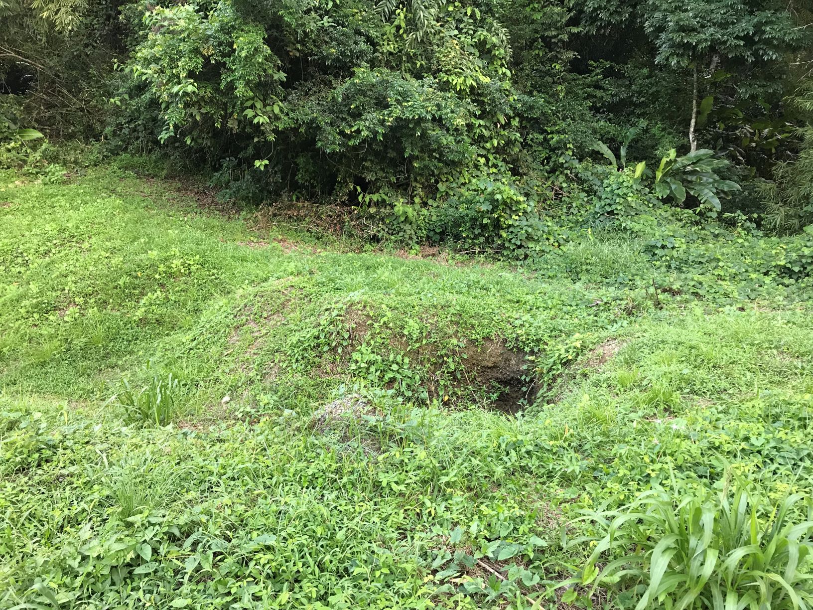 MASON HALL Freehold Land 5 Acres > Trinidad and