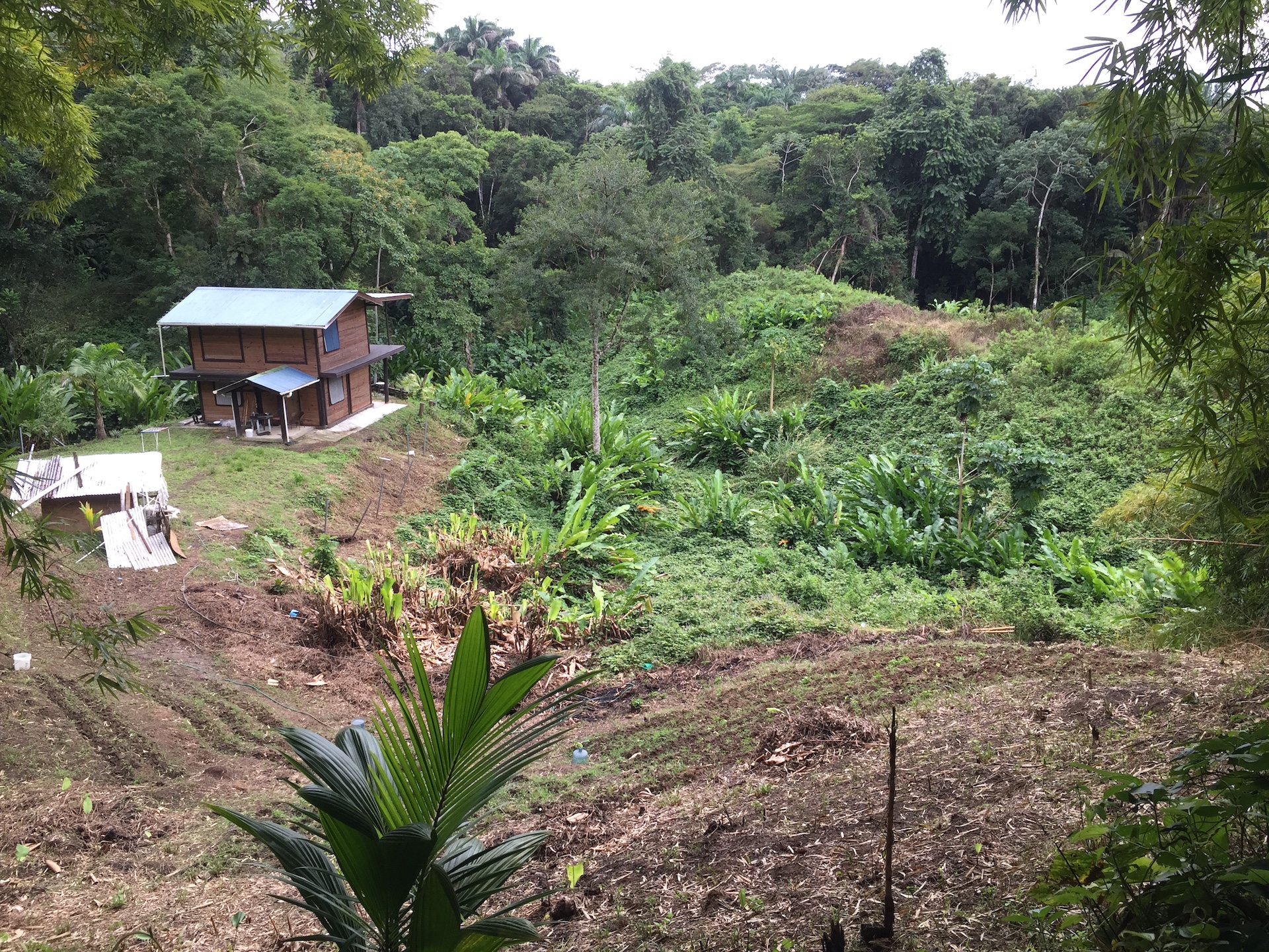 Land for sale in Mason Hall > Trinidad and Tobago Real