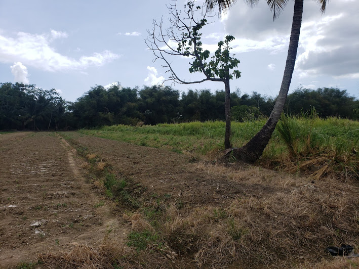 Land for Sale in Aranguez/ Mt Lambert Trinidad