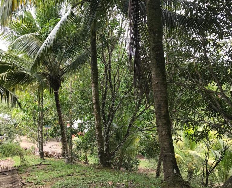 House and Land for Sale in Sangre Grande > Trinidad and