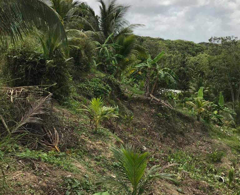 House and Land for Sale in Sangre Grande > Trinidad and