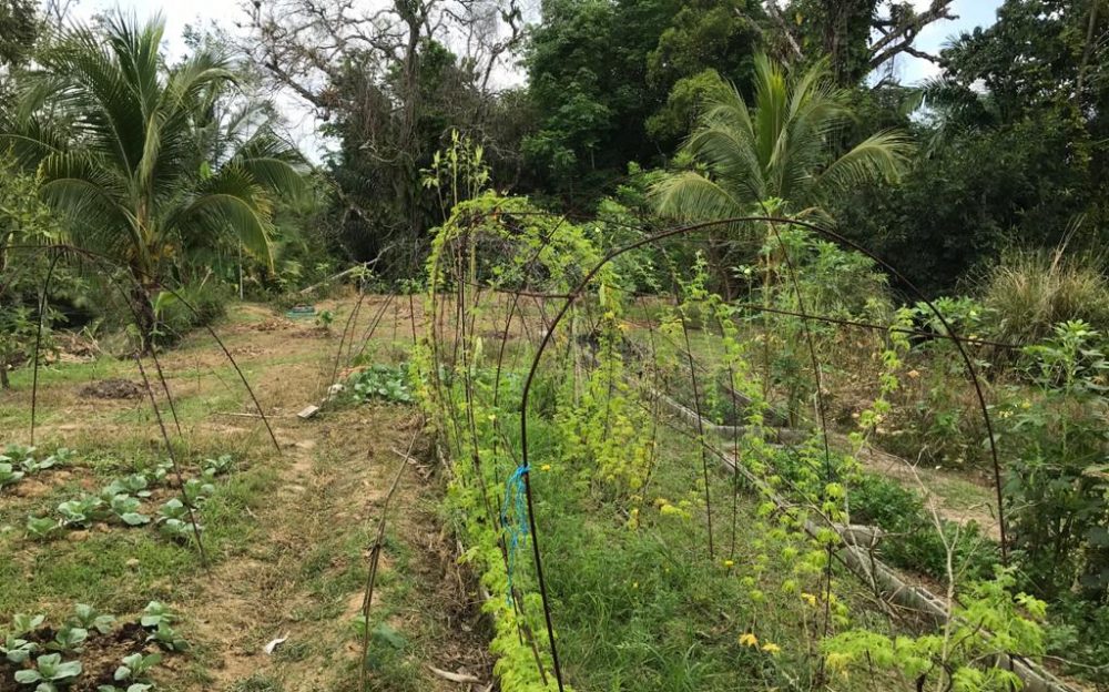 House and Land for Sale in Sangre Grande Trinidad