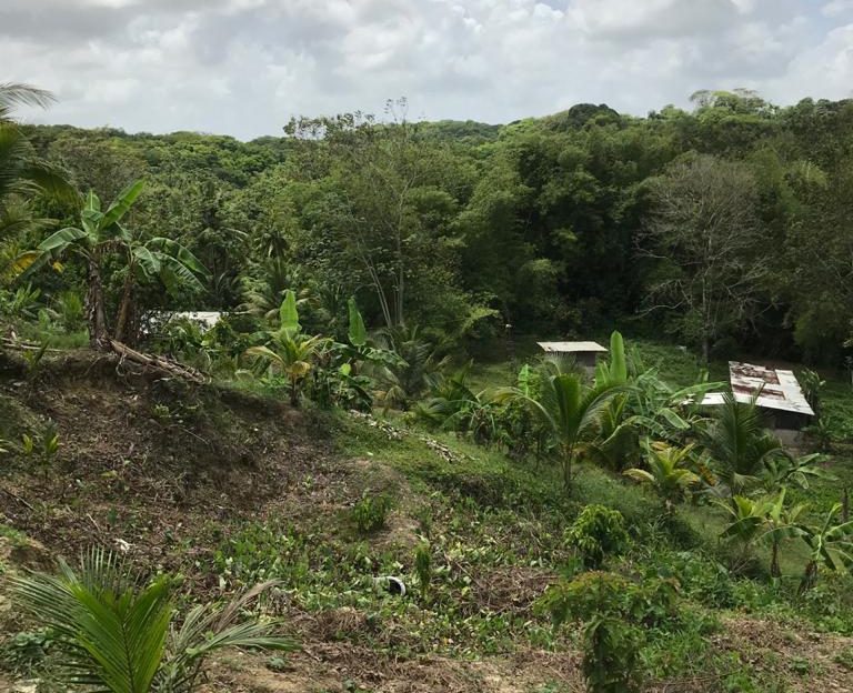 House and Land for Sale in Sangre Grande > Trinidad and