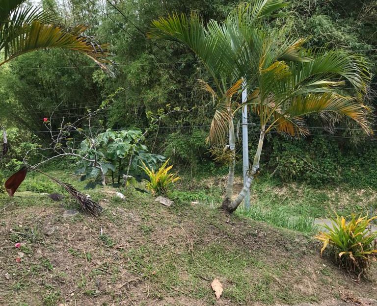 House and Land for Sale in Sangre Grande > Trinidad and