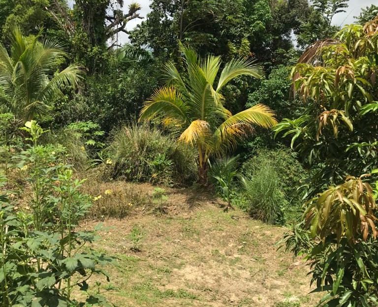 House and Land for Sale in Sangre Grande > Trinidad and