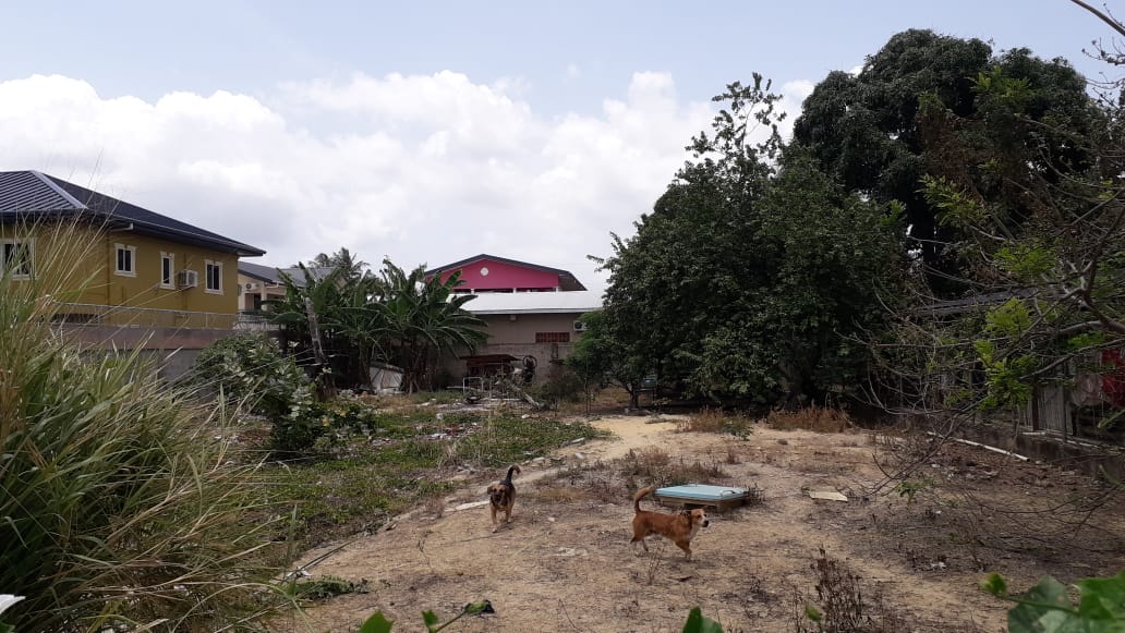 Land for Sale in Aranguez > Trinidad and Tobago Real Estate
