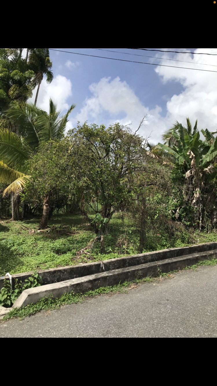 Land for Sale Sangre Grande > Trinidad and Tobago