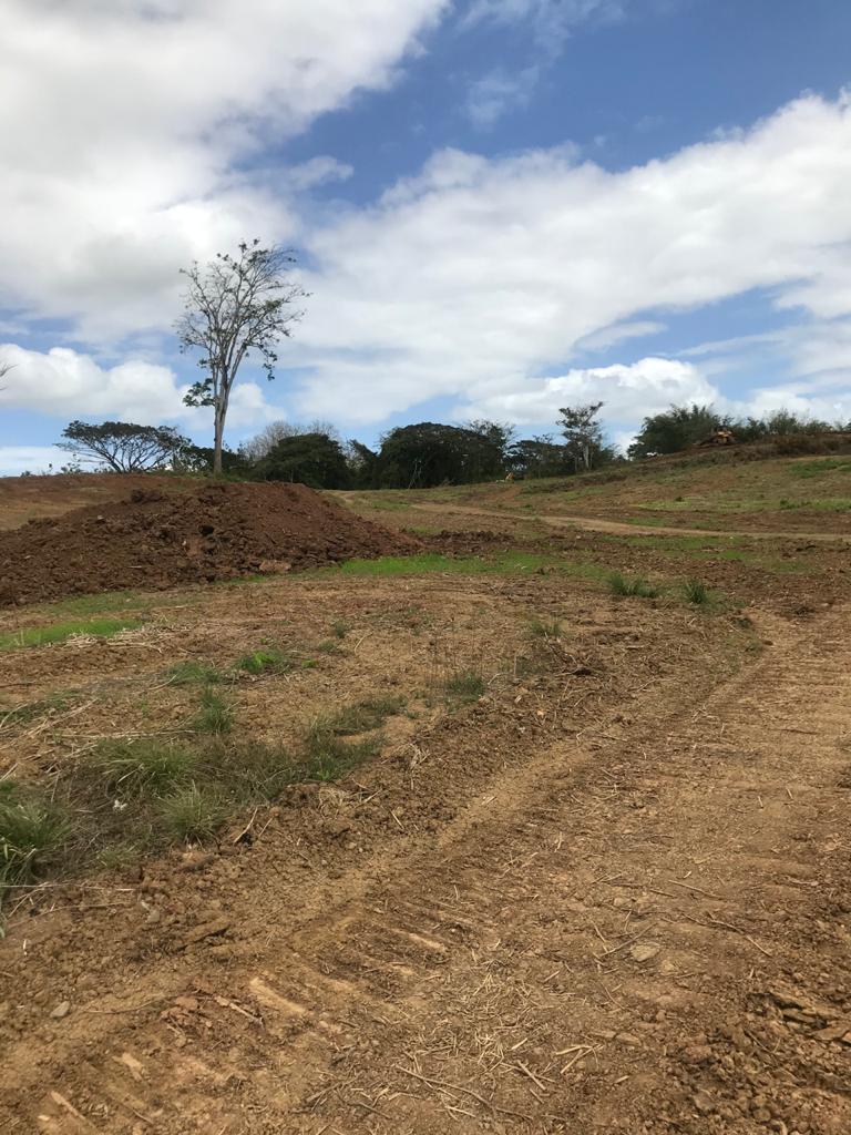 Land for Sale in Williamsville > Trinidad and Tobago