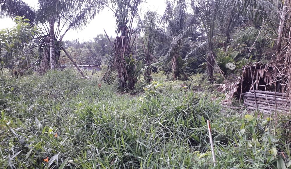 Land for Sale in Cumuto > Trinidad and Tobago Real Estate