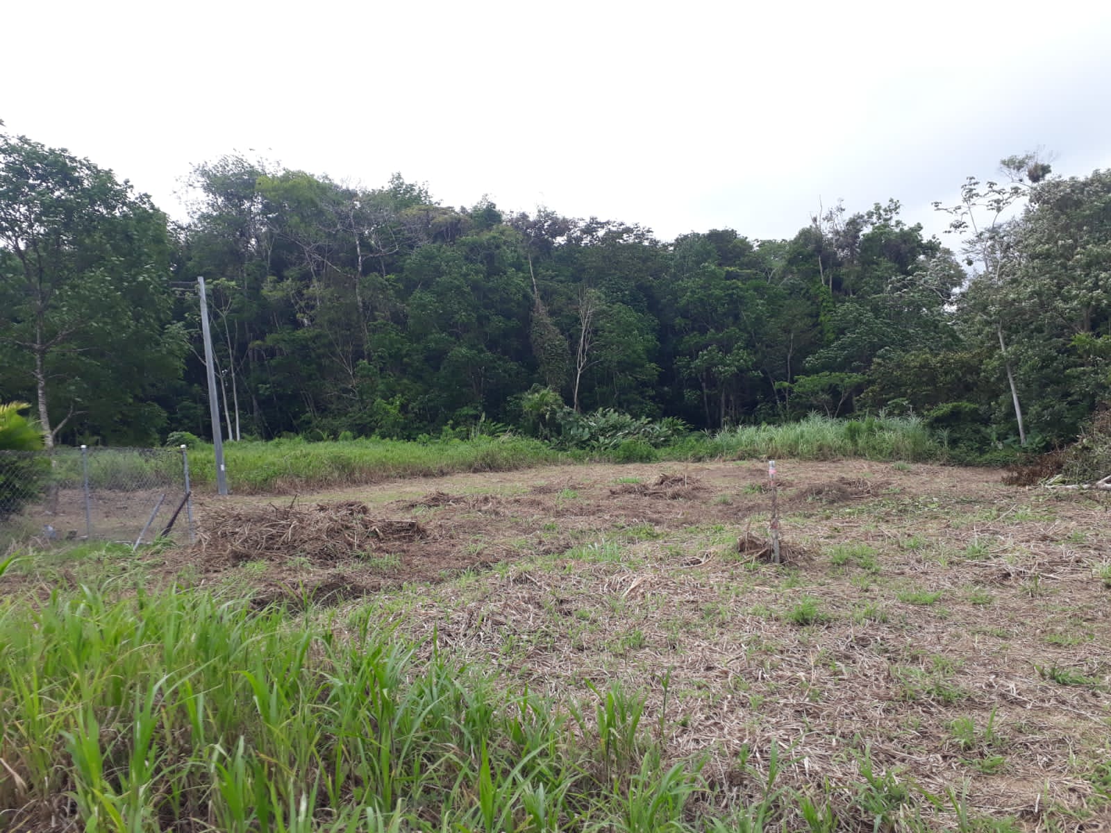 Sangre Grande Land For Sale > Trinidad and Tobago Real