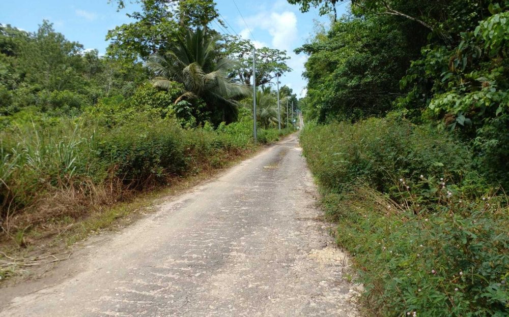 Sangre Grande Land For Sale Trinidad