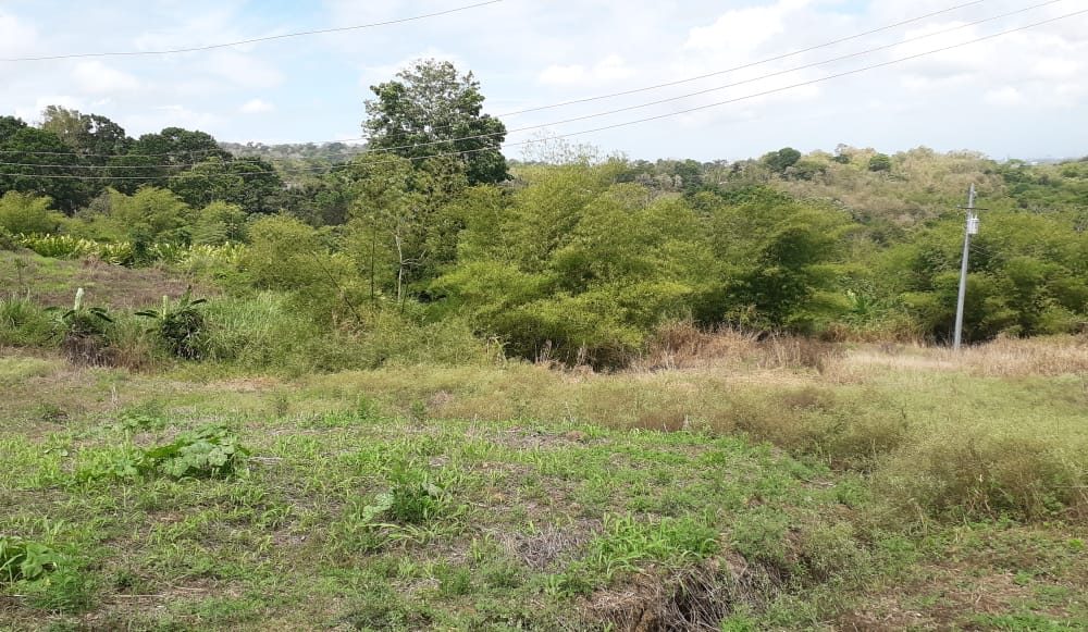 Land For Sale In GRAN COUVA > Trinidad and Tobago Real