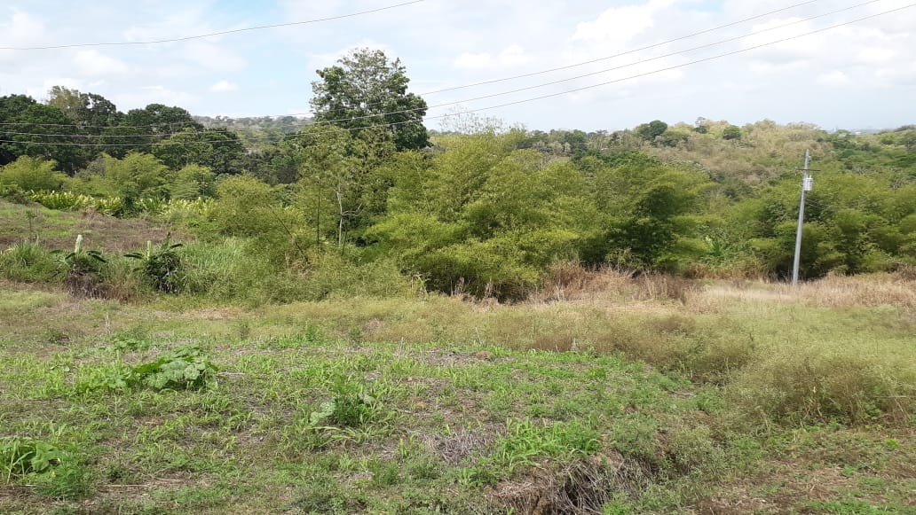 Land For Sale In GRAN COUVA > Trinidad and Tobago Real