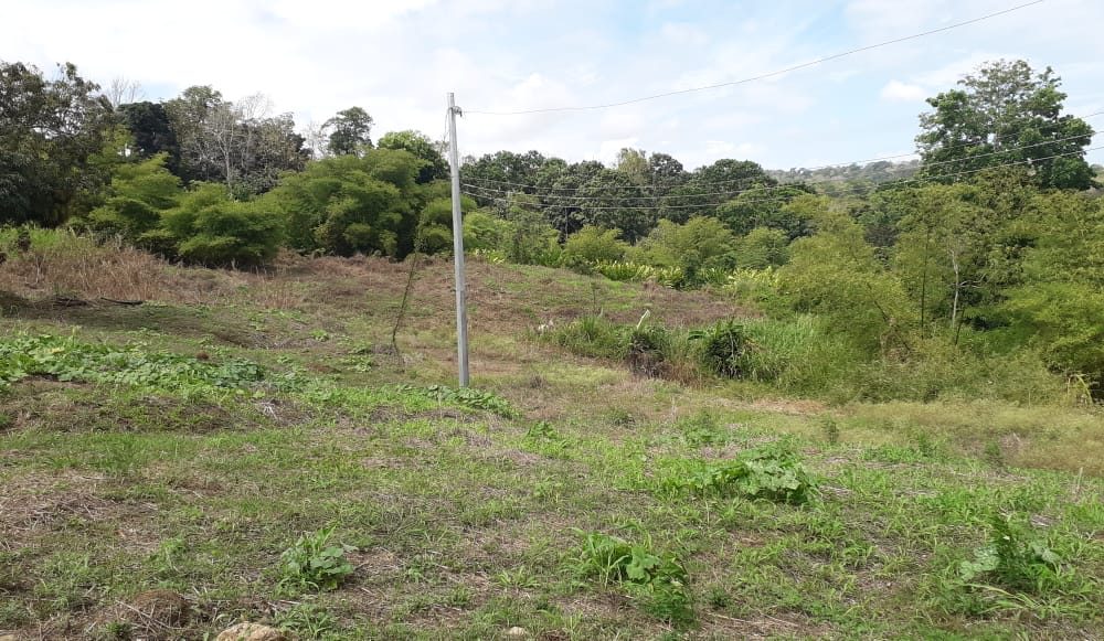 Land For Sale In GRAN COUVA > Trinidad and Tobago Real