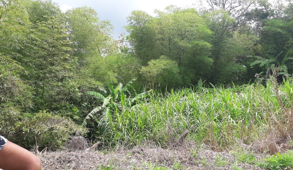 Land For Sale In GRAN COUVA > Trinidad and Tobago Real