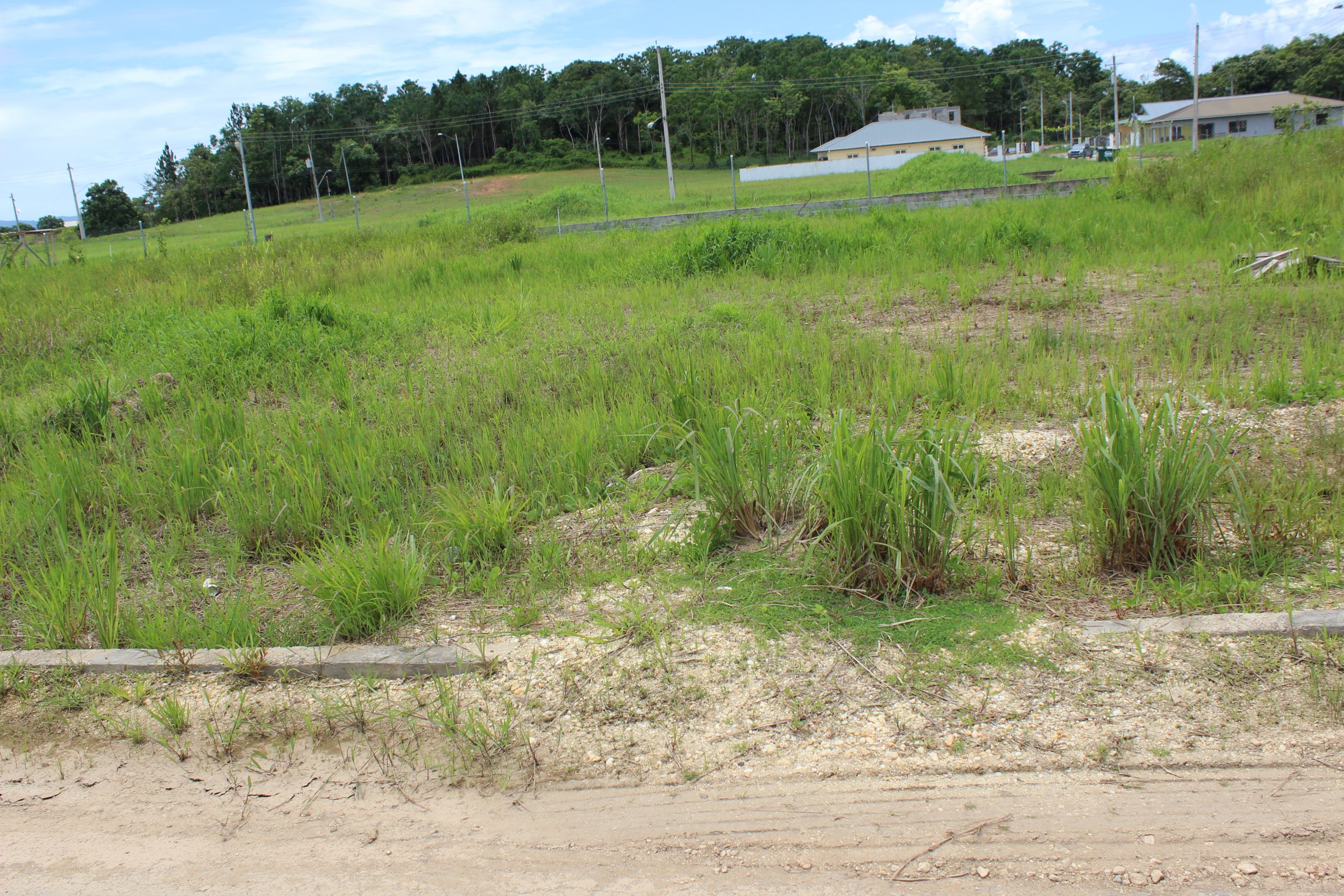 Residential Land For Sale Highbury Park St Helena , Gated Community All