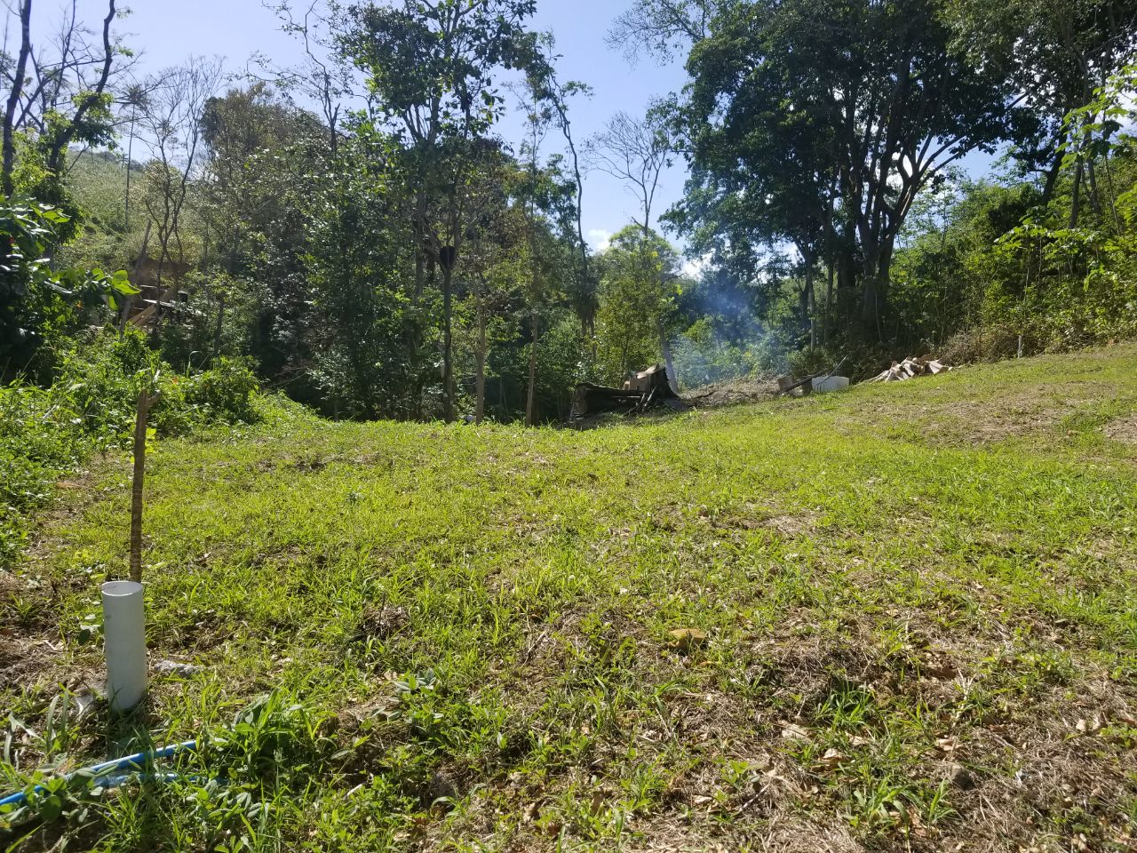 Land for Sale in Tobago > Trinidad and Tobago Real Estate