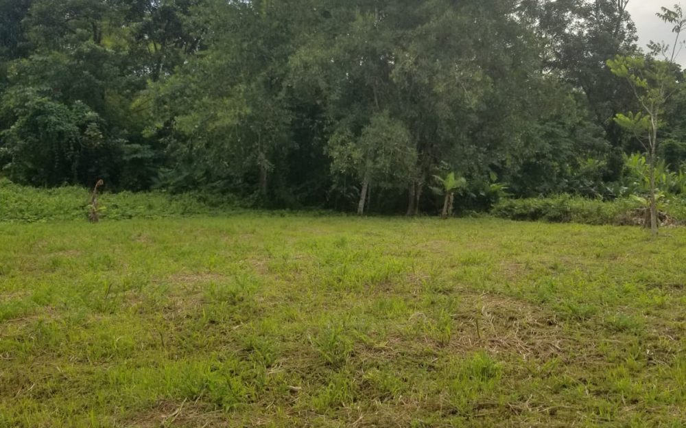 Land For Sale in Rio Claro > Trinidad and Tobago Real