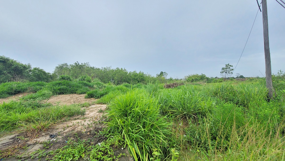 Mausica Land For Sale > Trinidad and Tobago Real Estate