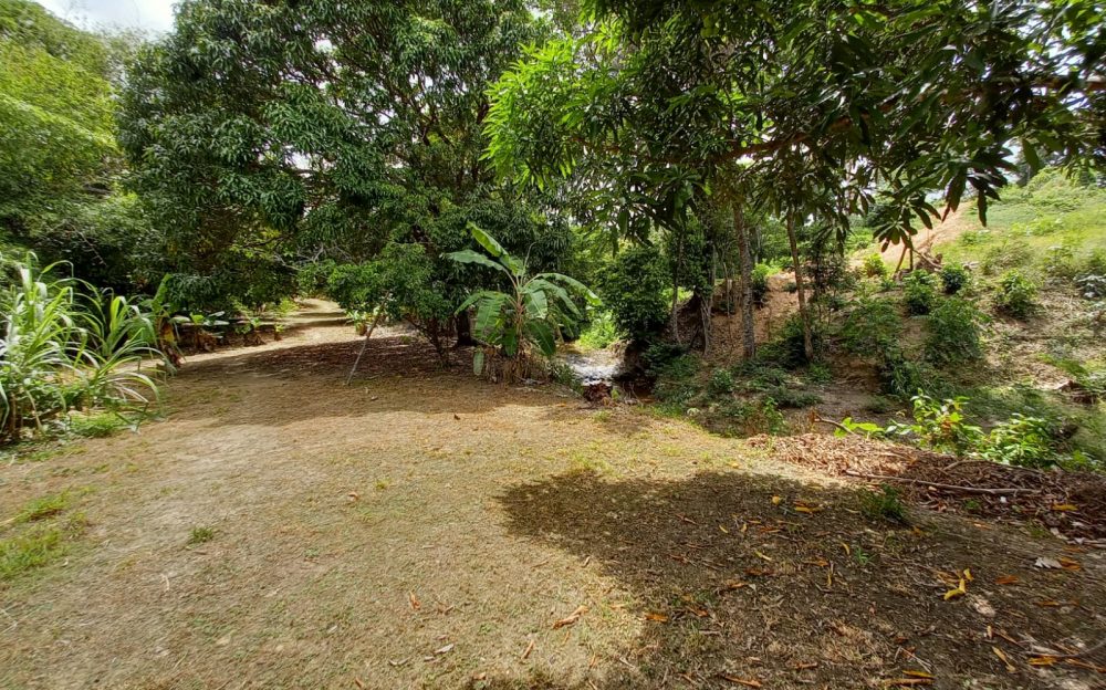 Toco Land > Trinidad and Tobago Real Estate