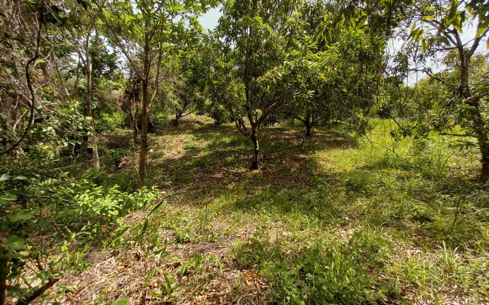 Toco Land > Trinidad and Tobago Real Estate