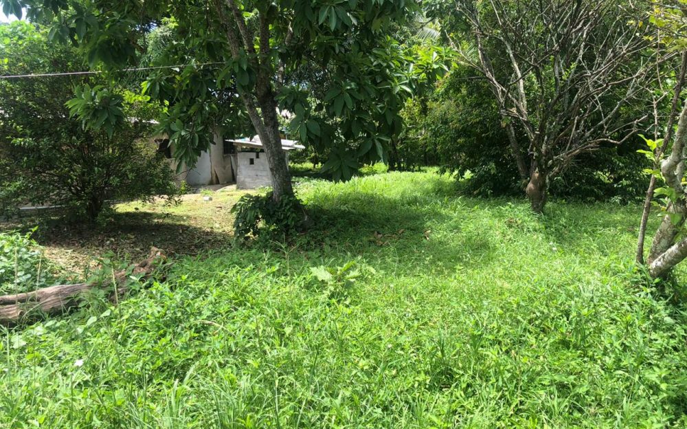 Arima Property For Sale > Trinidad and Tobago Real Estate