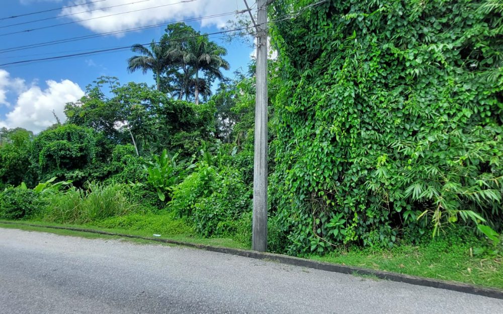 Todd's Station Road, Talparo > Trinidad and Tobago Real