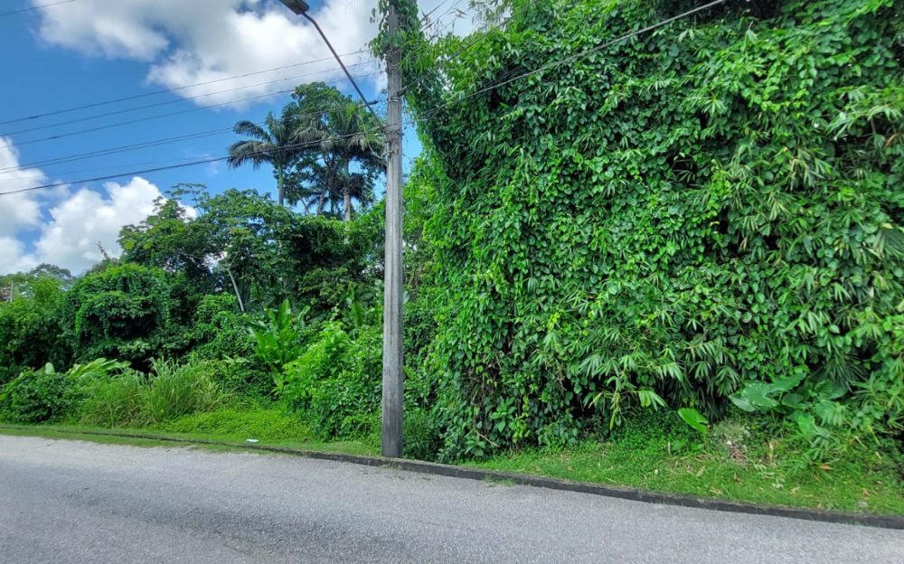 Todd's Station Road, Talparo > Trinidad and Tobago Real