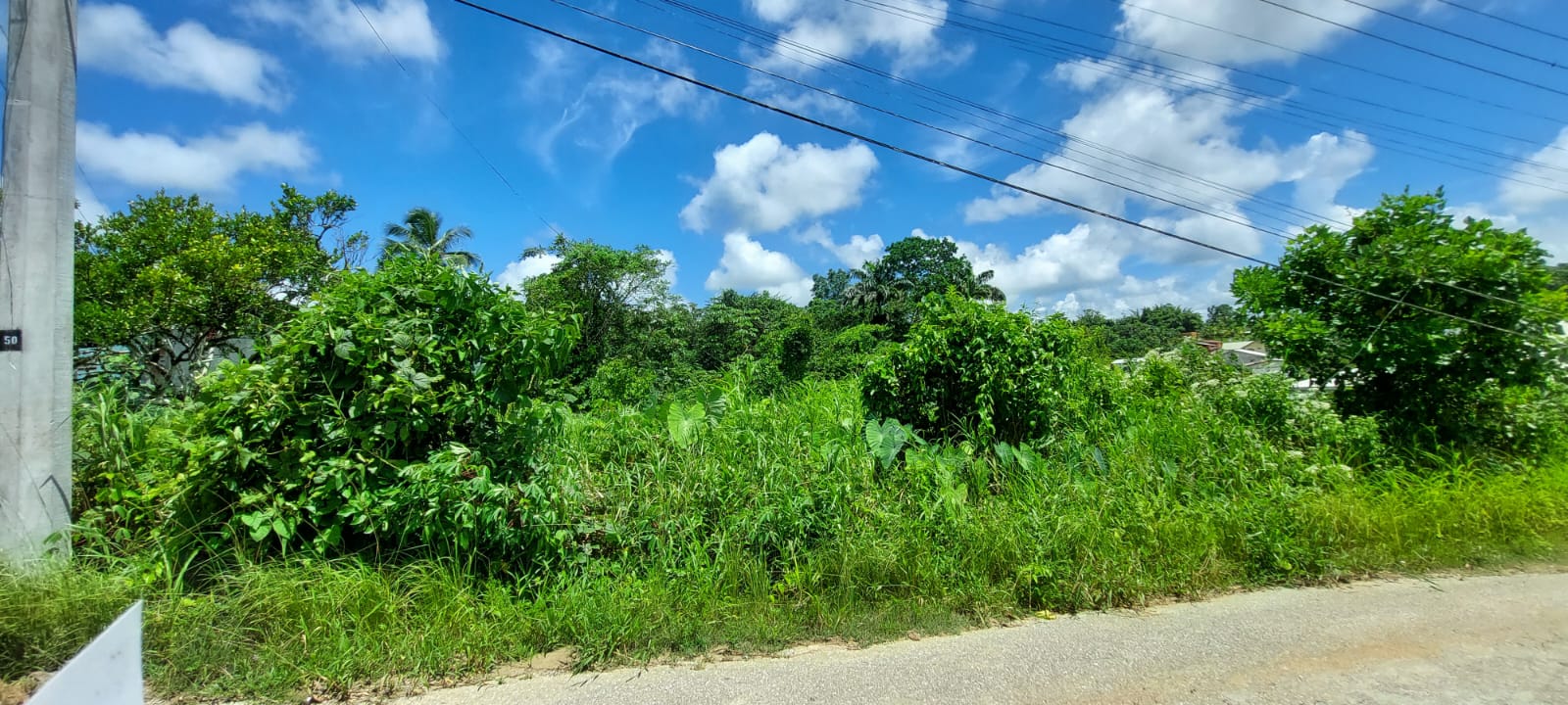Todd's Station Road, Talparo > Trinidad and Tobago Real