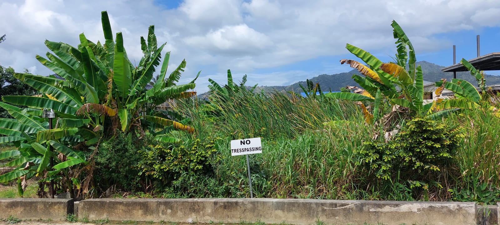 Land for Sale Estate Trace, Aranguez > Trinidad and