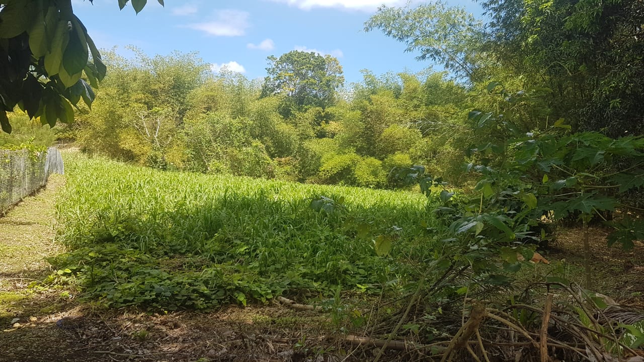 Gran Couva > Trinidad and Tobago Real Estate