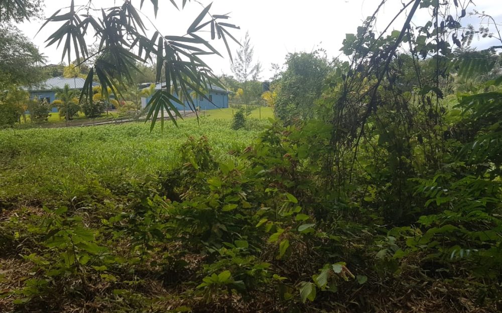 Gran Couva > Trinidad and Tobago Real Estate