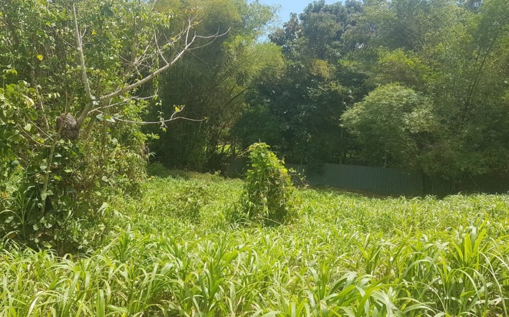 Gran Couva > Trinidad and Tobago Real Estate