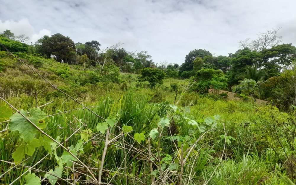 Williamsville Land For Sale > Trinidad and Tobago Real