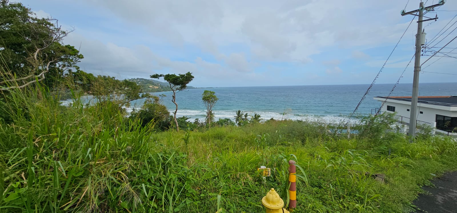 Hope Estate, Tobago Land For Sale > Trinidad and