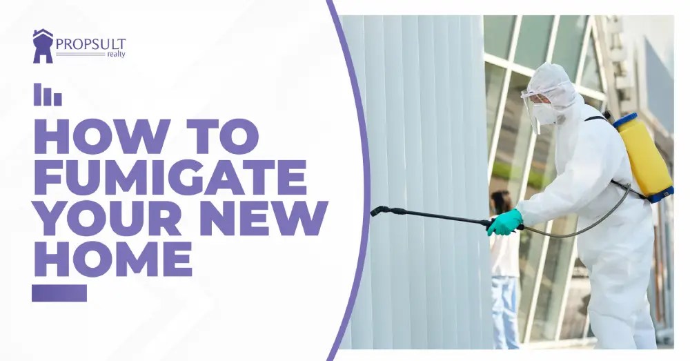How to Fumigate Your New Home A StepbyStep Guide