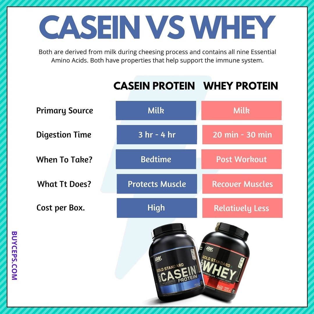 Whey vs Casein Protein Powder Professional Personal Trainer
