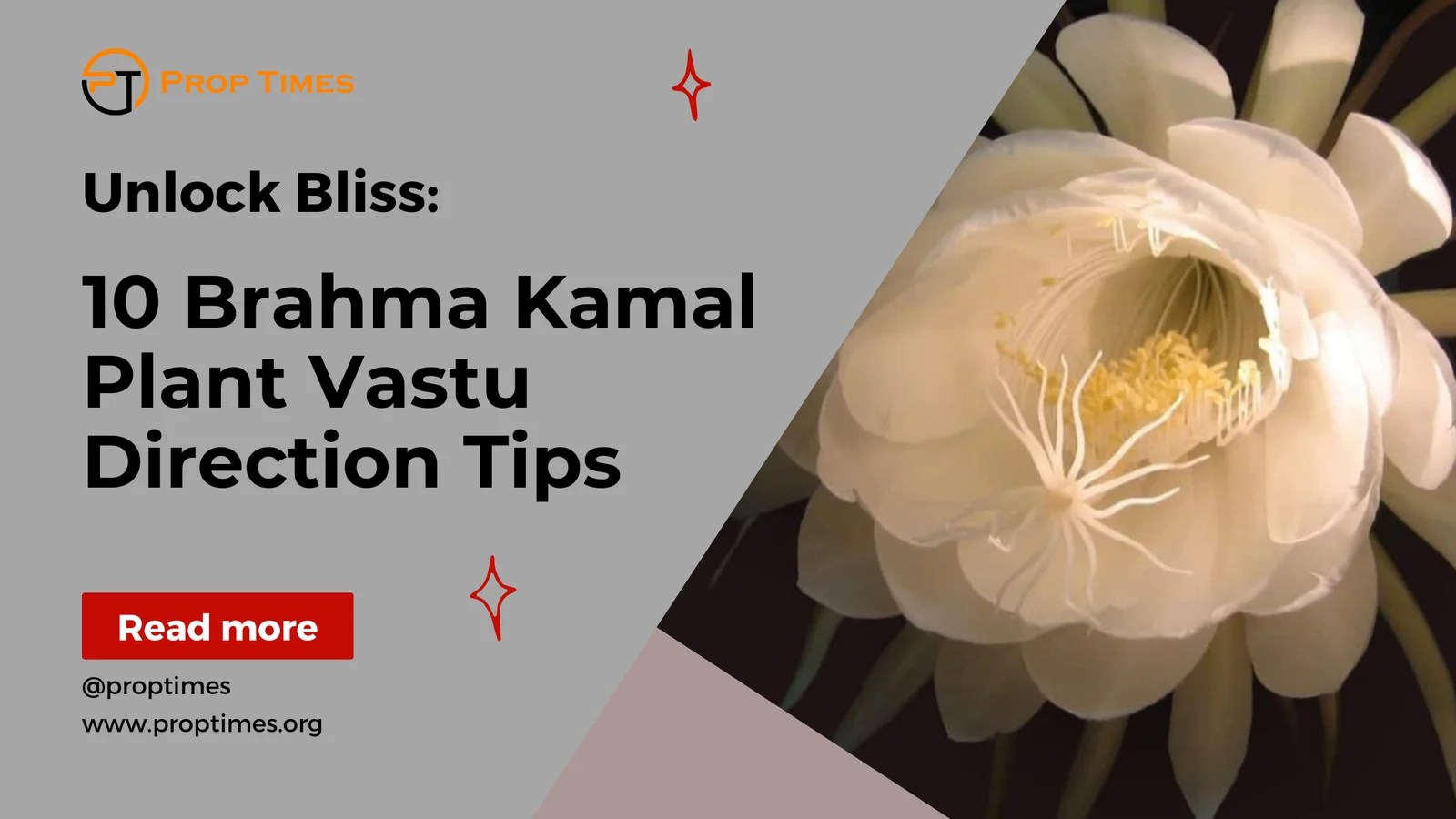 Unlock Bliss 10 Brahma Kamal Plant Vastu Direction Tips