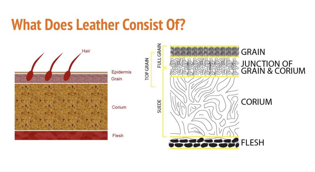 What Is Leather Leather Repair Company Leather Encyclopaedia