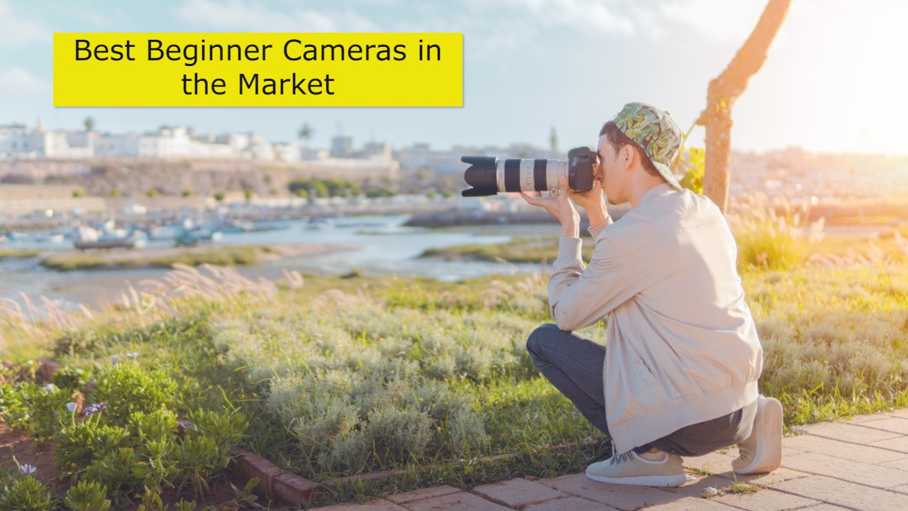 5 Best Beginner Cameras in the Market ProReviewGuide