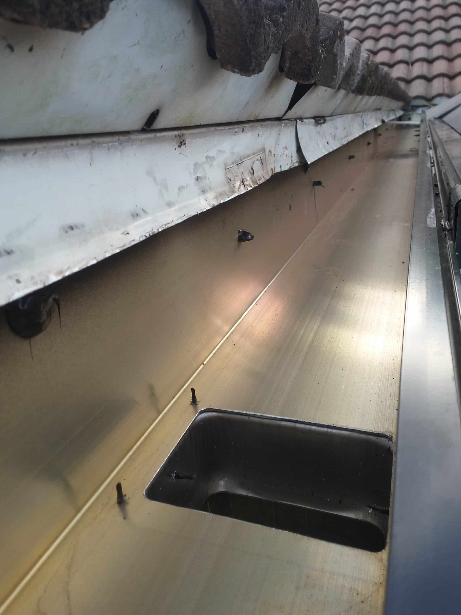 Downspout Installation | AAA Pro Screening Inc