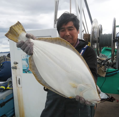 ヒラメ 良型 71cmも！ 浜丸 プロショップかわぐち