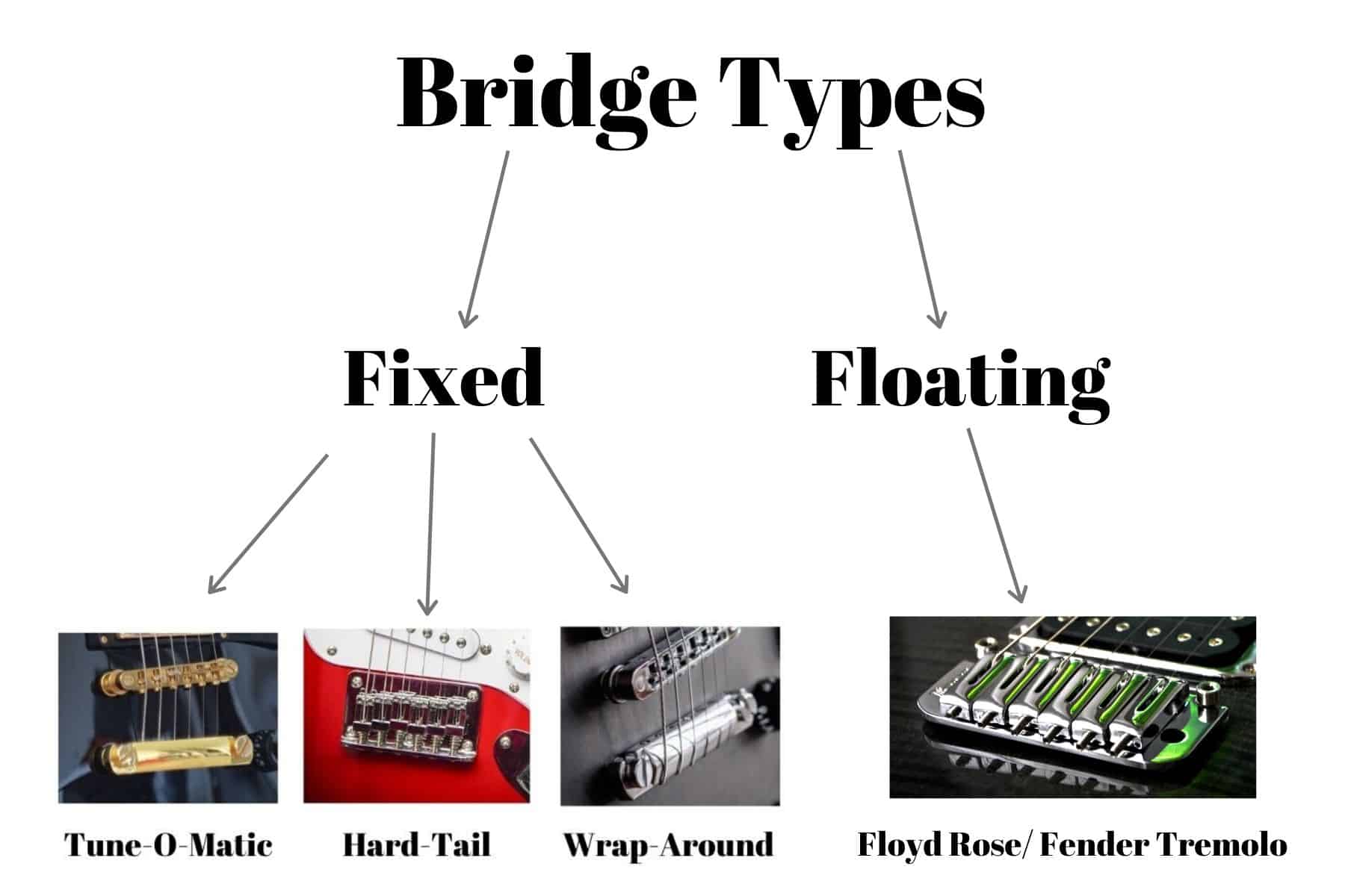 Fixed vs. Floating Bridges What's the Difference? Pro Sound HQ