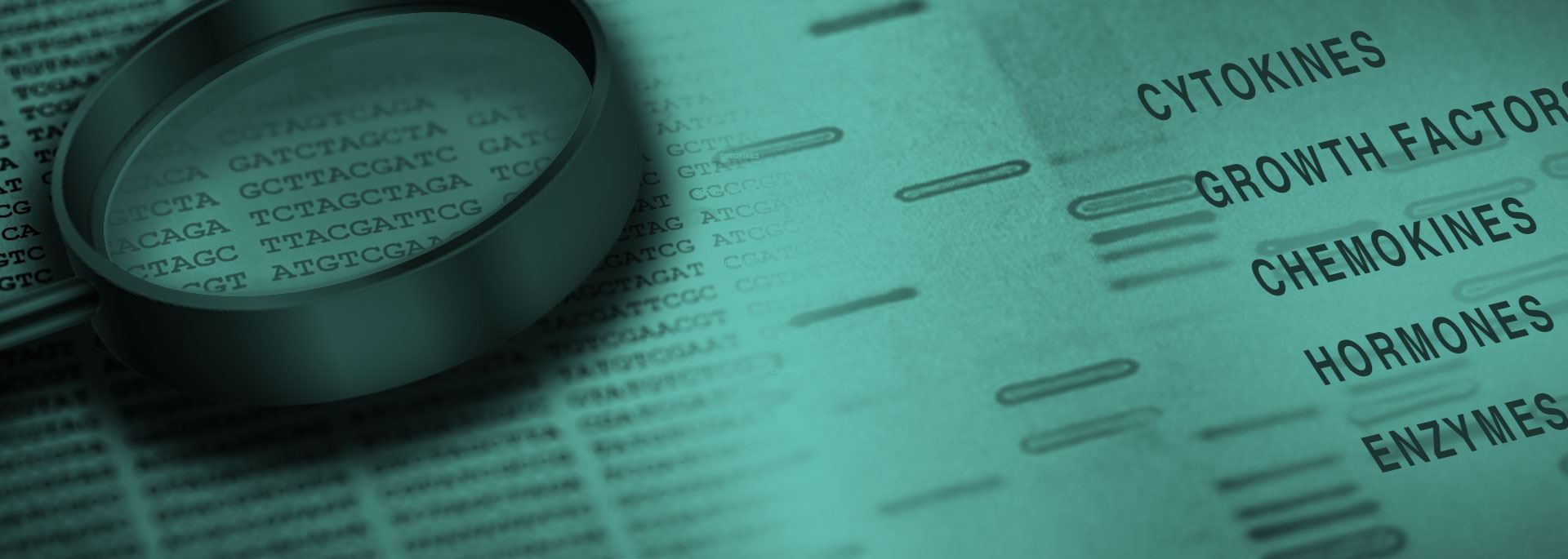 ProSpec Protein Manufacturer