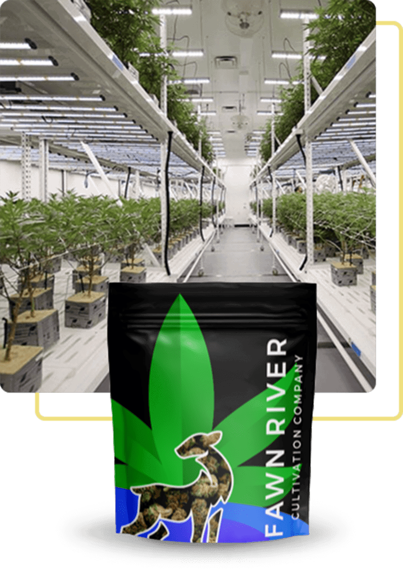 About Recreational & Medical Marijuana Dispensary in MI Prosper