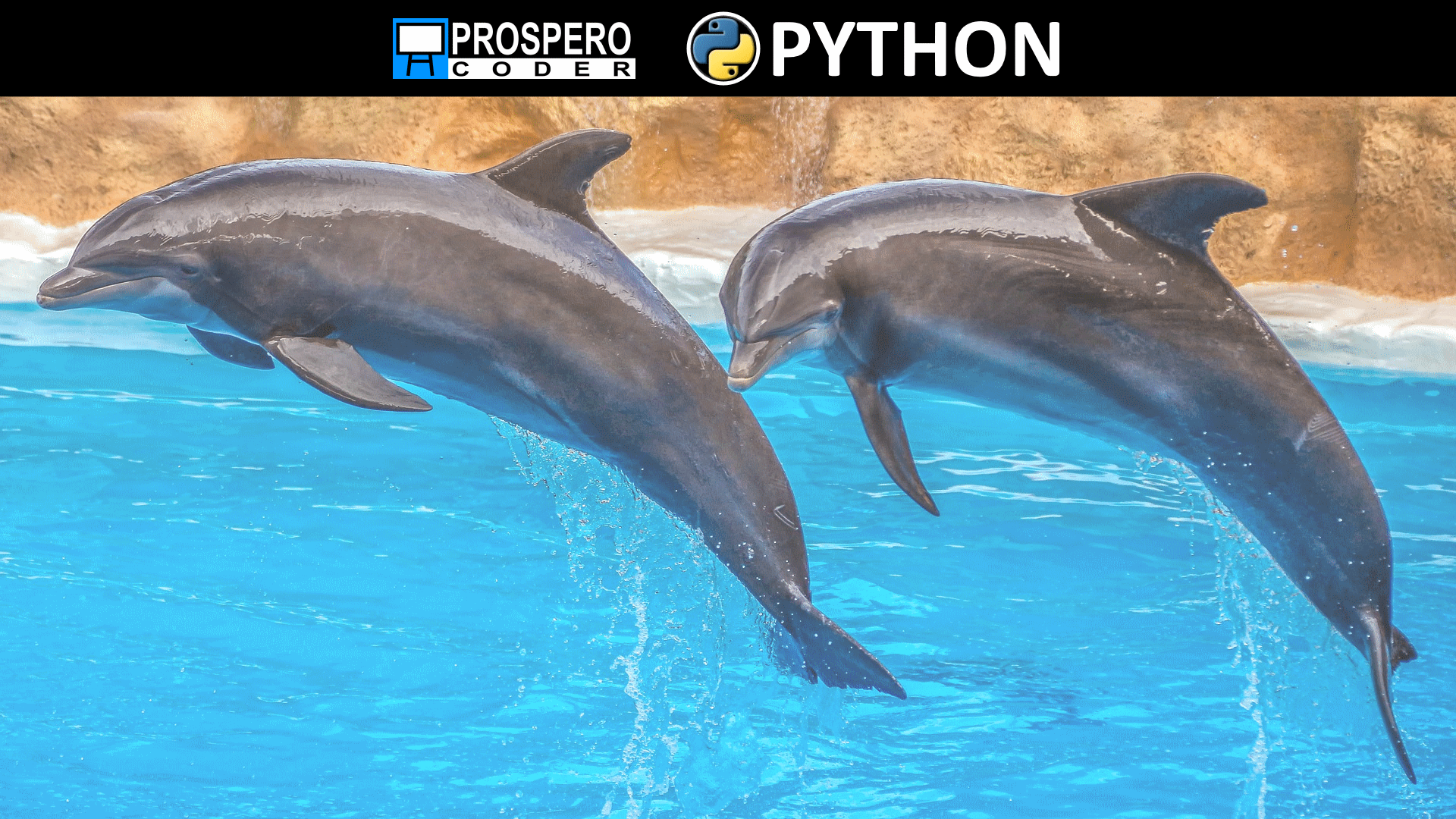 Jump Tables in Python Prospero Coder